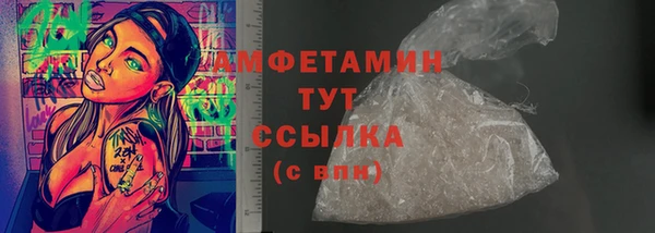 прущие грибы Михайловка
