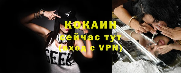 шишки Медногорск