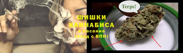 прущие грибы Михайловка