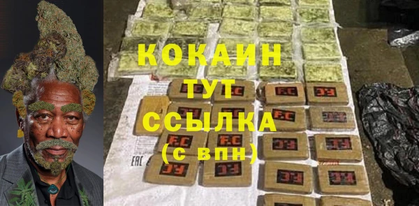 шишки Медногорск